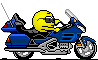 Silverwing's schermafbeelding