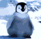 1544634402250271.gif