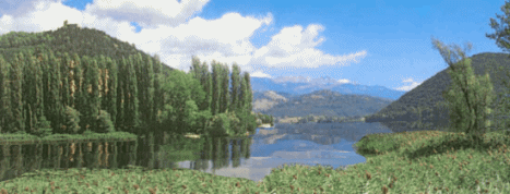 15874628fa067e7fd.gif