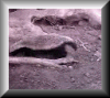 1587464cb74aa0d5a.gif