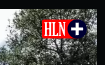 1692476244075.png