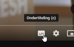 1704886512228.png