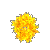25104767c2a165b07.gif