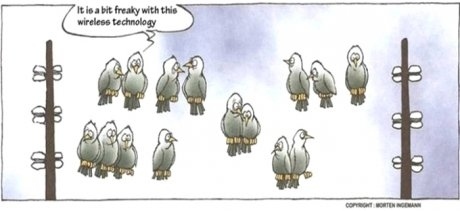 470_wireless-birds-generation-w-3215-1291473904-14.jpg