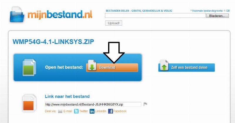 52c703d294c45-mijnbestand.jpg