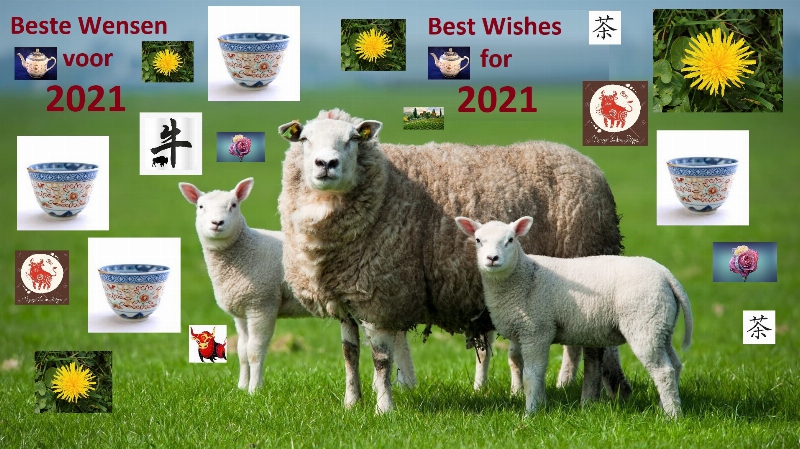 5ff0660036eec-Schapen_in_de_wei.jpg