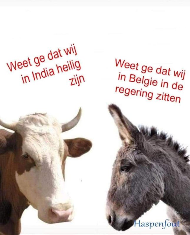 België.jpg