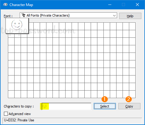 copy-private-character.png
