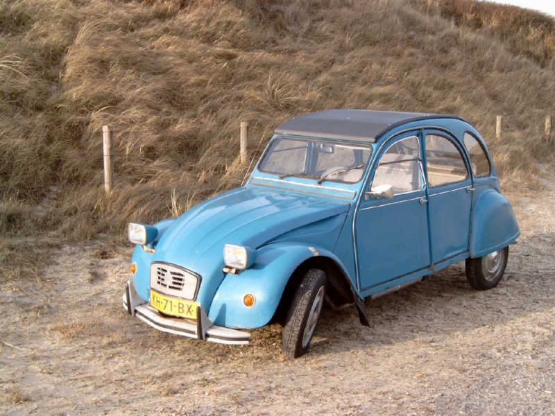 Dsc0002cv.jpg