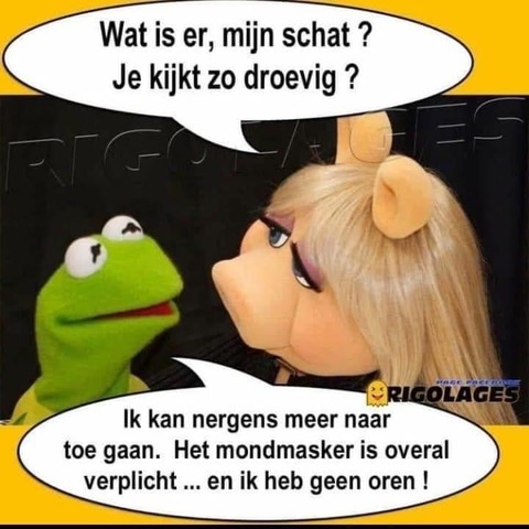 Kermit.jpg