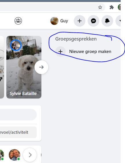 Knipsel.JPG