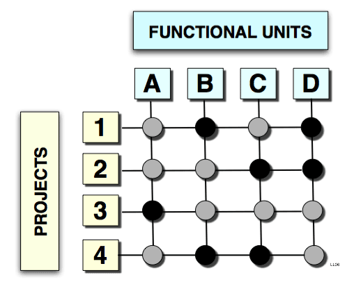 Matrix_organisatie.png