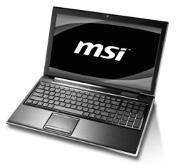 msi_fx600-250x230.jpg