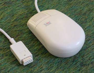 muis3.jpg