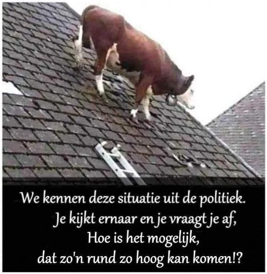 politiek.jpg