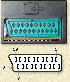 scart_female.gif