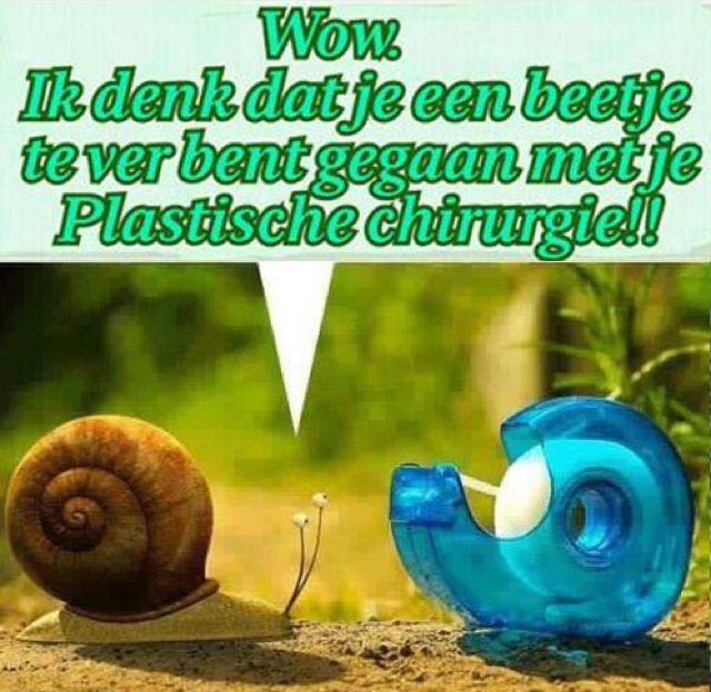 slakken.png
