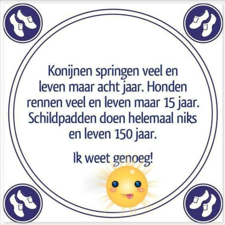 Tegeltje.jpg