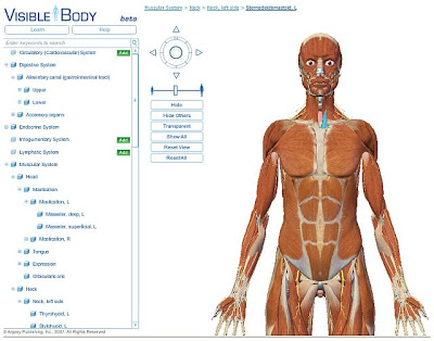 Visible+Body.jpg