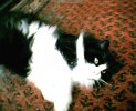 Photo2004.jpg