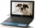 acer.jpg