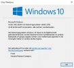 Windows10 - Build 1903.JPG