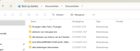 Schermafbeelding 2023-12-21 134145.png