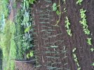 IMG_0887.jpg