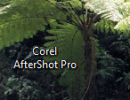 snelkop.PNG