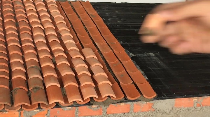 www.dumpert.nl